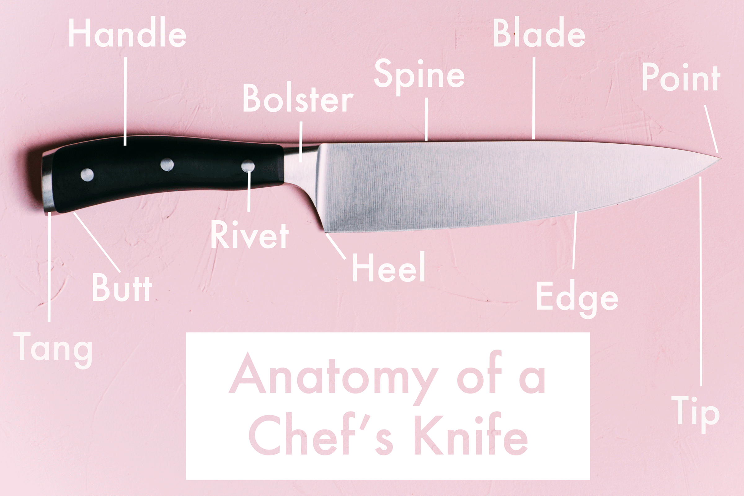 Chef's knife anatomy: Tip, edge, bolster, heel, tang & handle labeled.