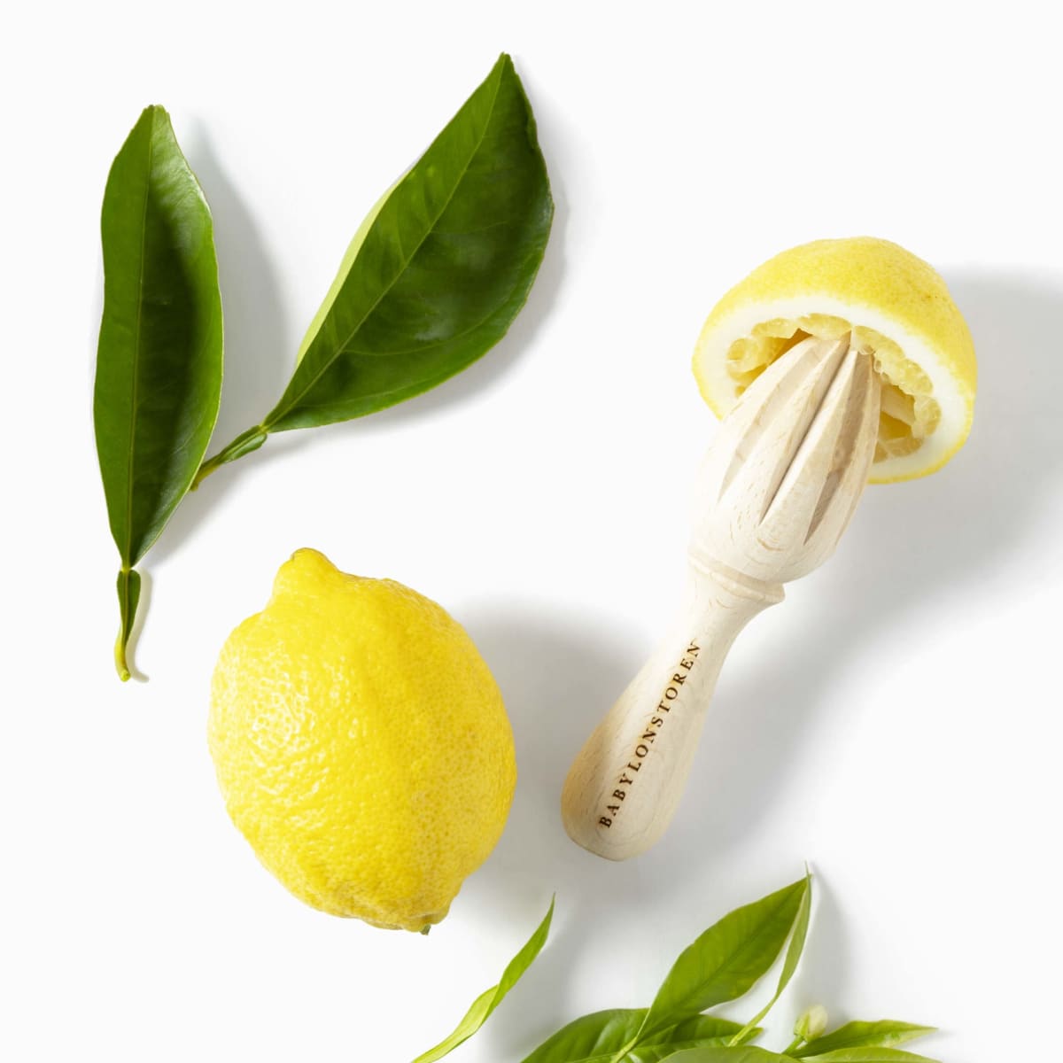 The Home Chef's Toolkit